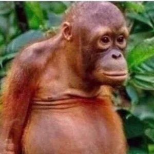 Meet your Posher, Shawn